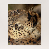 Mooie leopard-portret, Jigzaag Puzzle Legpuzzel (Verticaal)
