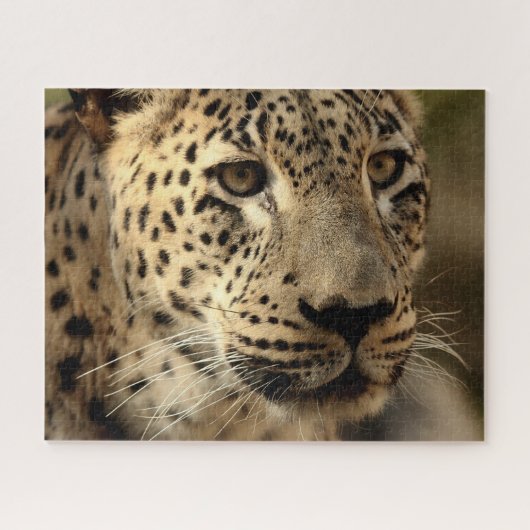 Mooie leopard-portret, Jigzaag Puzzle Legpuzzel (Horizontaal)
