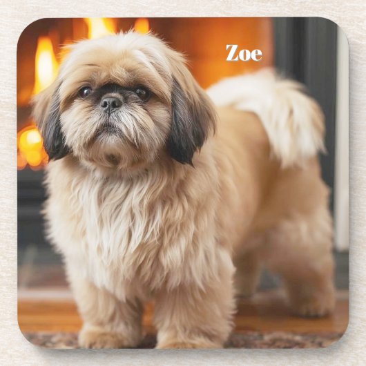 Mooie Lhasa Apso gepersonaliseerde Onderzetter set (Voorkant)