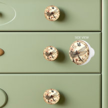 Mooie libel roze bloemen vlinder