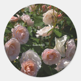 Mooie Licht Roze Rozen  Ronde Sticker