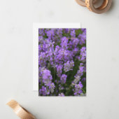 Mooie lichte lavendel notitiekaartje (Voorkant / Achterkant in situ)