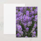 Mooie lichte lavendel notitiekaartje (Voorkant / Achterkant)
