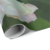 Mooie lichte roze rozen cadeaupapier (Rol Hoek)