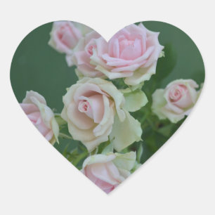 Mooie lichte roze rozen hart sticker