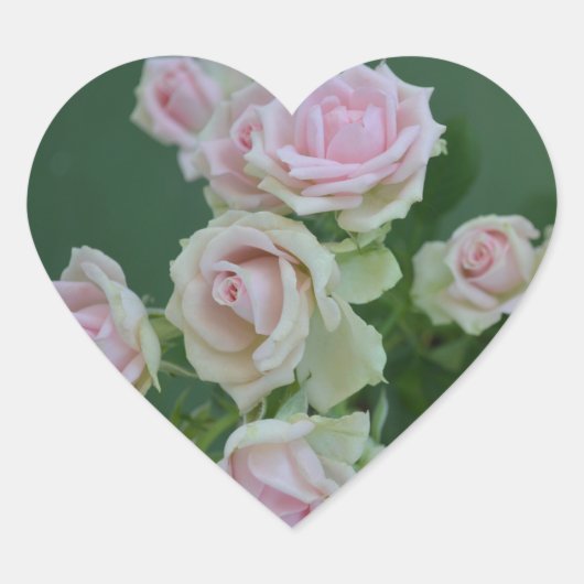 Mooie lichte roze rozen hart sticker (Voorkant)