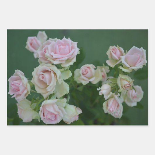 Mooie lichte roze rozen inpakpapier vel (Voorkant)