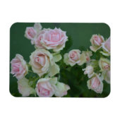 Mooie lichte roze rozen magneet (Horizontaal)