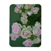 Mooie lichte roze rozen magneet (Verticaal)