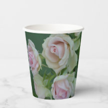 Mooie lichte roze rozen