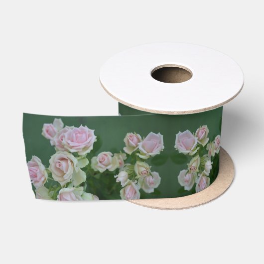 Mooie lichte roze rozen satijnen lint (Spoel)