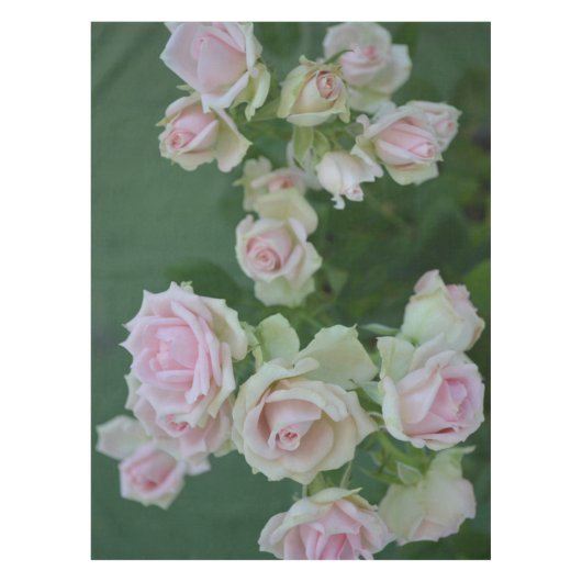 Mooie lichte roze rozen tafelkleed (Voorkant)