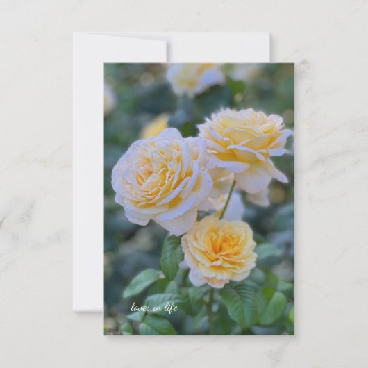 Mooie lichtgele rozen notitiekaartje (Voorkant)