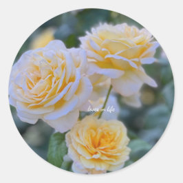 Mooie lichtgele rozen ronde sticker
