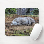 Mooie, lichtgevende witte merrie muismat (Met muis)