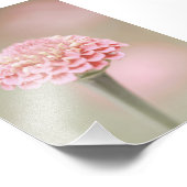 Mooie lichtroze bloem bloesem foto afdruk (Hoek)