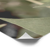 Mooie lichtroze bloem bloesem perfect poster (Hoek)