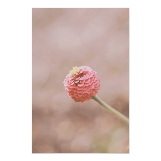 Mooie lichtroze bloem bloesem perfect poster (Voorkant)