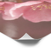 Mooie lichtroze bloemblaadjes Floral Poster (Hoek)