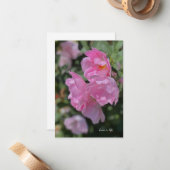 Mooie lichtroze Rozen Notitiekaartje (Voorkant / Achterkant in situ)