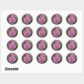 Mooie lichtroze Rozen Ronde Sticker (Vel)