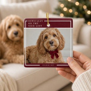 Mooie Lijst Bourgondië Hond Kerst Foto Ornament