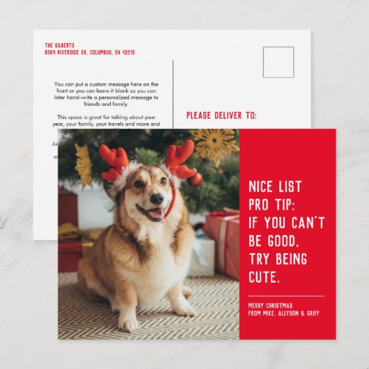 Mooie lijst leuke, grappige kerstfoto feestdagenkaart (Voorkant / Achterkant)