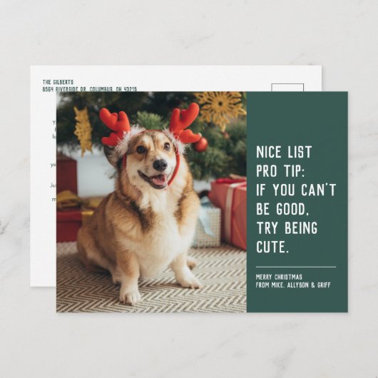 Mooie lijstje groene grappige kerstfoto feestdagenkaart (Voorkant / Achterkant)