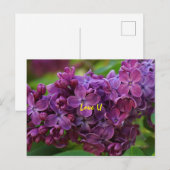 Mooie lila bloem briefkaart (Voorkant / Achterkant)