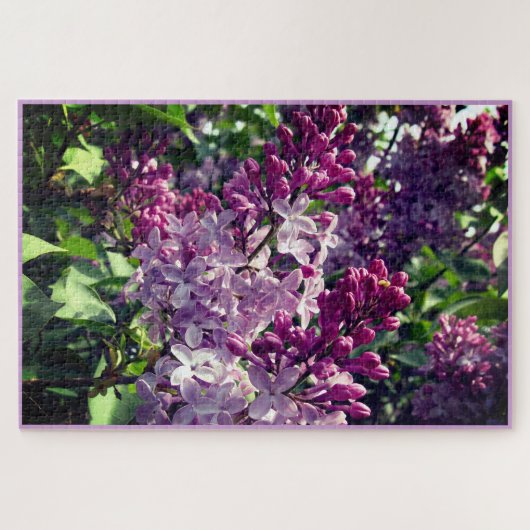 Mooie Lilacs Bloom in Ohio Springtime Legpuzzel (Horizontaal)