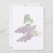 Mooie Lilacs Kaart (Achterkant)