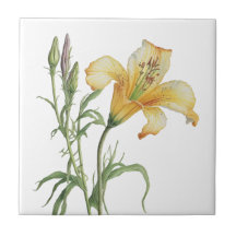 Mooie Lily  Botanische Keramische Tegel