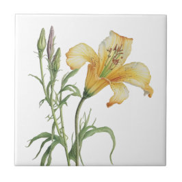 Mooie Lily  Botanische Keramische Tegel Tegeltje