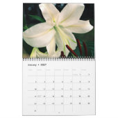 Mooie Lily-foto's Kalender (Jan 2027)