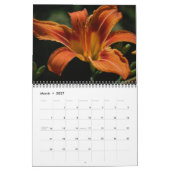 Mooie Lily-foto's Kalender (Mar 2027)