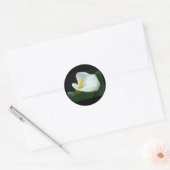 MOOIE LILY LETTER / CADEAU RONDE STICKER (Envelop)