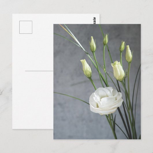 Mooie Lisianthus White Flowers Briefkaart (Voorkant / Achterkant)