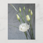 Mooie Lisianthus White Flowers Briefkaart (Voorkant)