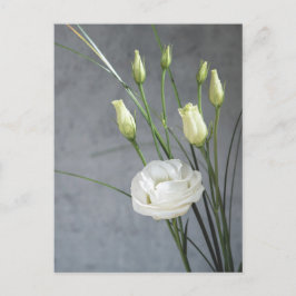 Mooie Lisianthus White Flowers Briefkaart
