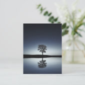 Mooie Lone-boom in het meer bij nacht Briefkaart (Staand voorkant)