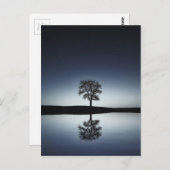 Mooie Lone-boom in het meer bij nacht Briefkaart (Voorkant / Achterkant)