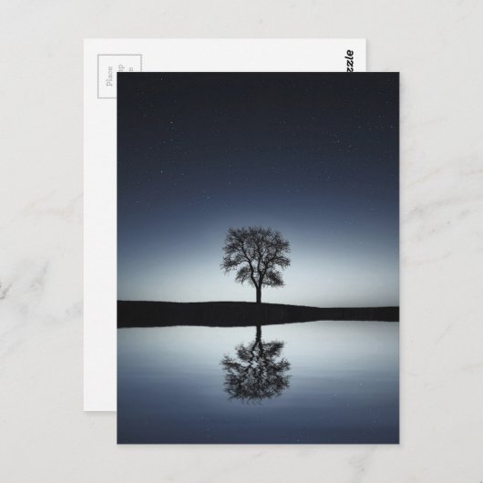 Mooie Lone-boom in het meer bij nacht Briefkaart (Voorkant / Achterkant)