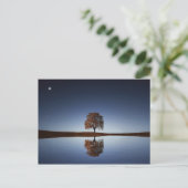 Mooie Lone-boom in het meer in Dusk Briefkaart (Staand voorkant)