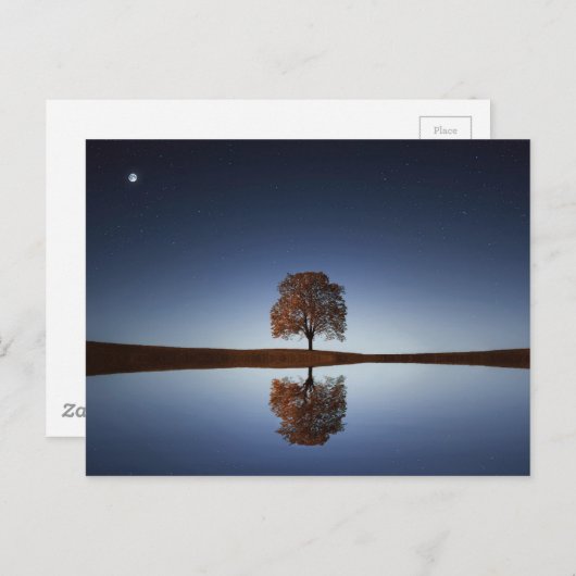 Mooie Lone-boom in het meer in Dusk Briefkaart (Voorkant / Achterkant)