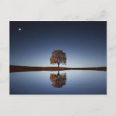 Mooie Lone-boom in het meer in Dusk Briefkaart (Voorkant)