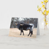 Mooie Longhorn Kaart (Gele Bloem)