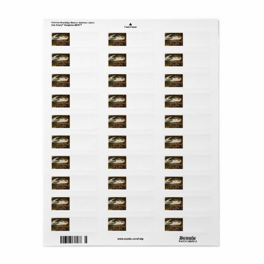 Mooie Lookout Mountain Colorado Landschap Etiket (Full Sheet)