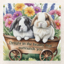 Mooie Lop Bunny Rabbit 