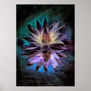 Mooie Lotus Flower Poster