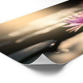 Mooie Lotus,Lake,Zen Poster (Hoek)